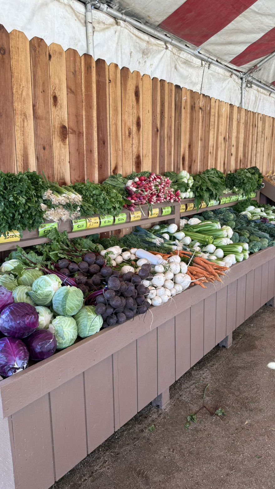 jadelynmusic snapchat image archive image