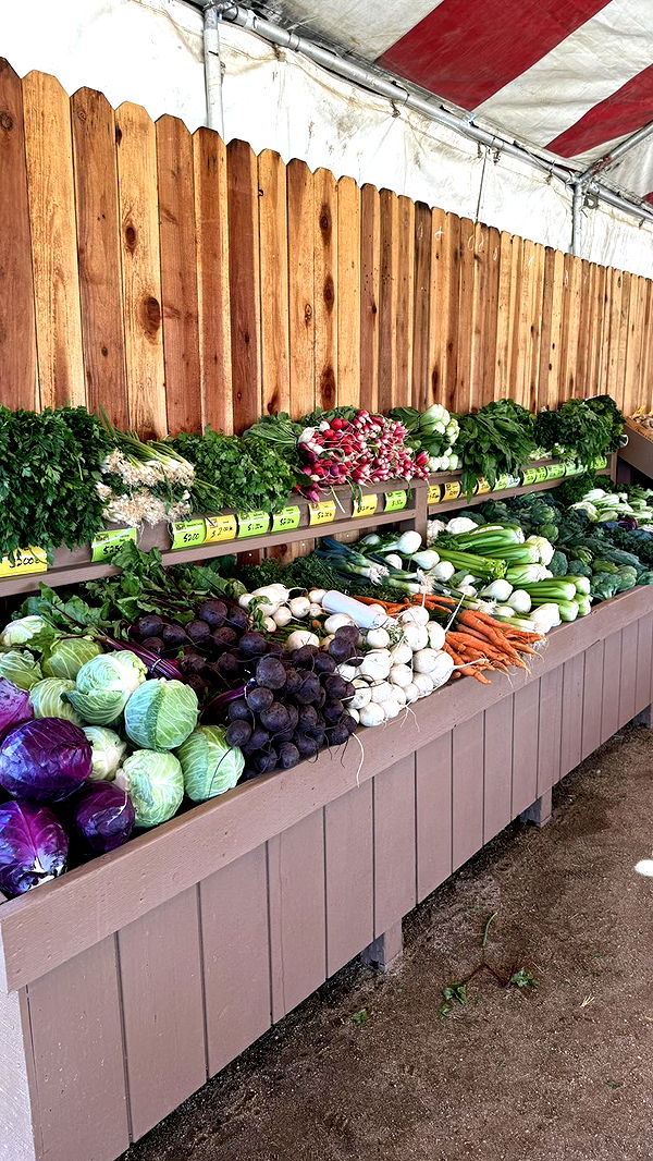 jadelynmusic image ~ Altpins