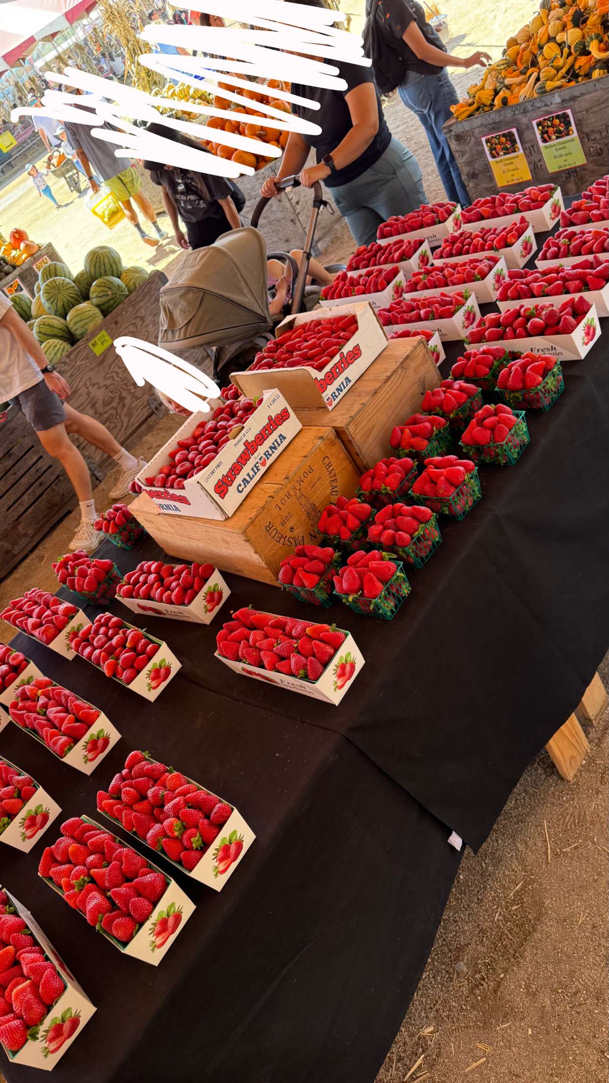 jadelynmusic snapchat image archive image