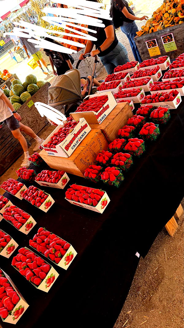 jadelynmusic image ~ Altpins