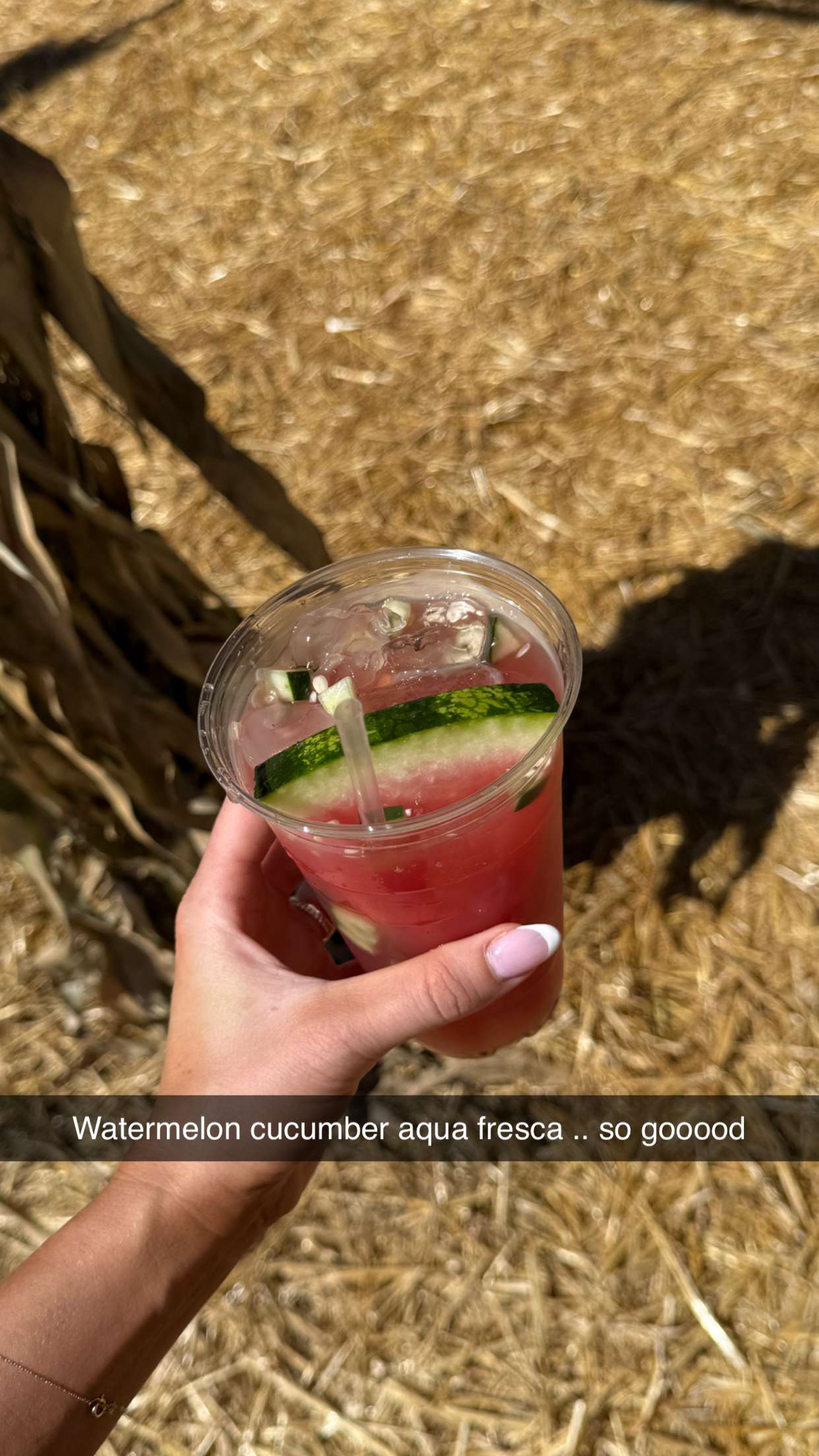 jadelynmusic snapchat image archive image