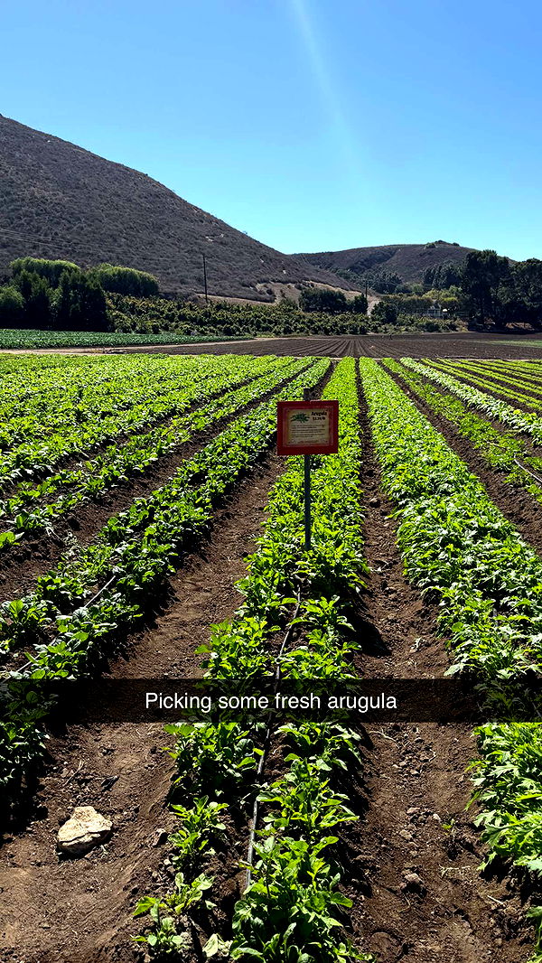 jadelynmusic image ~ Altpins