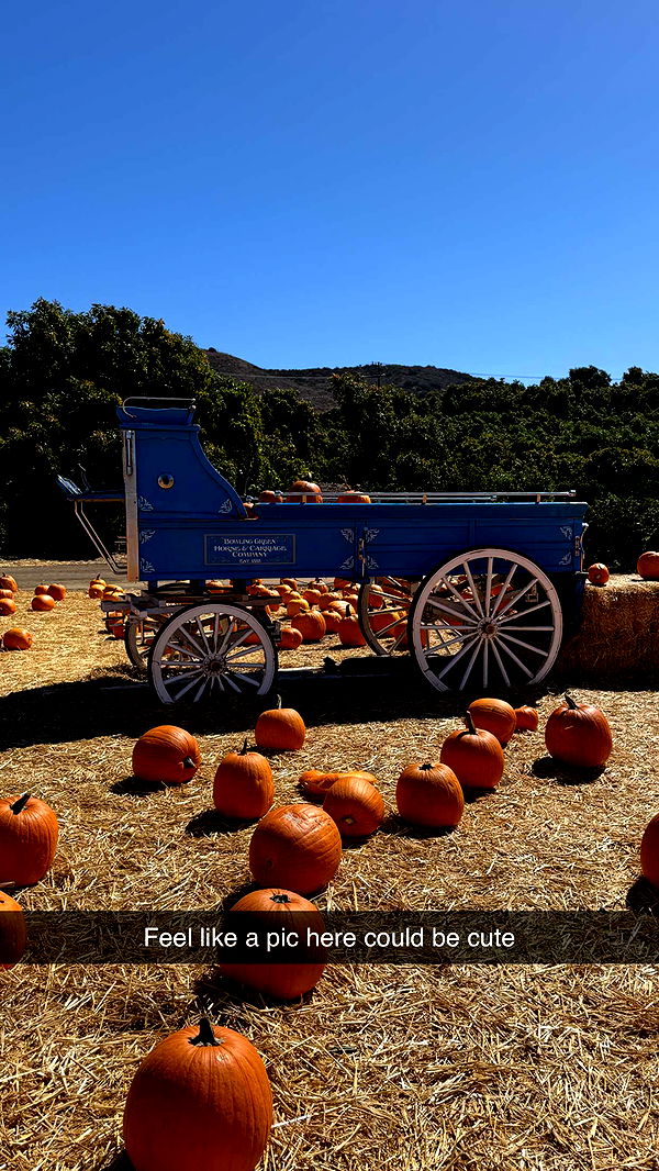 jadelynmusic image ~ Altpins