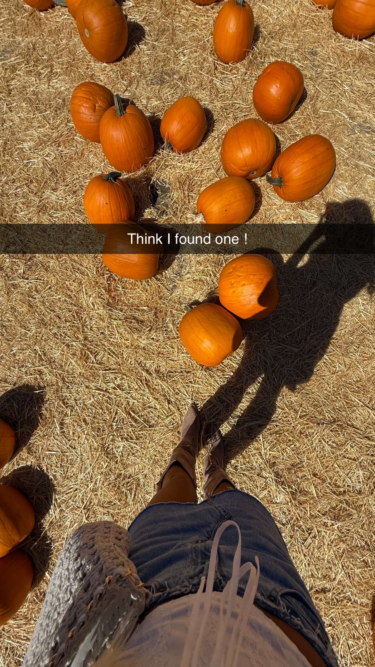 jadelynmusic snapchat image archive image