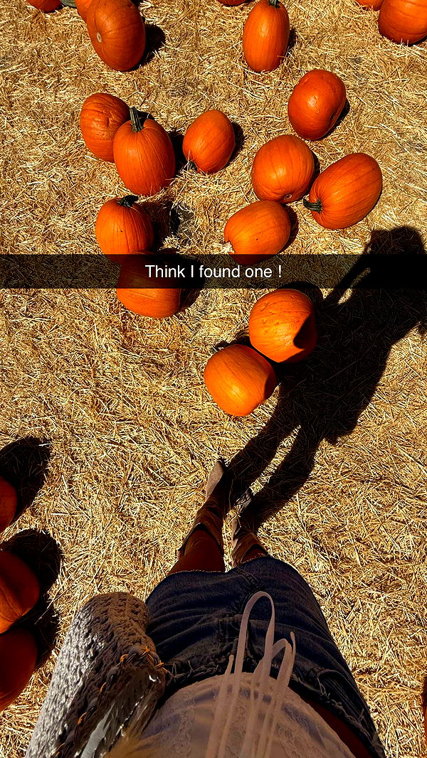 jadelynmusic image ~ Altpins