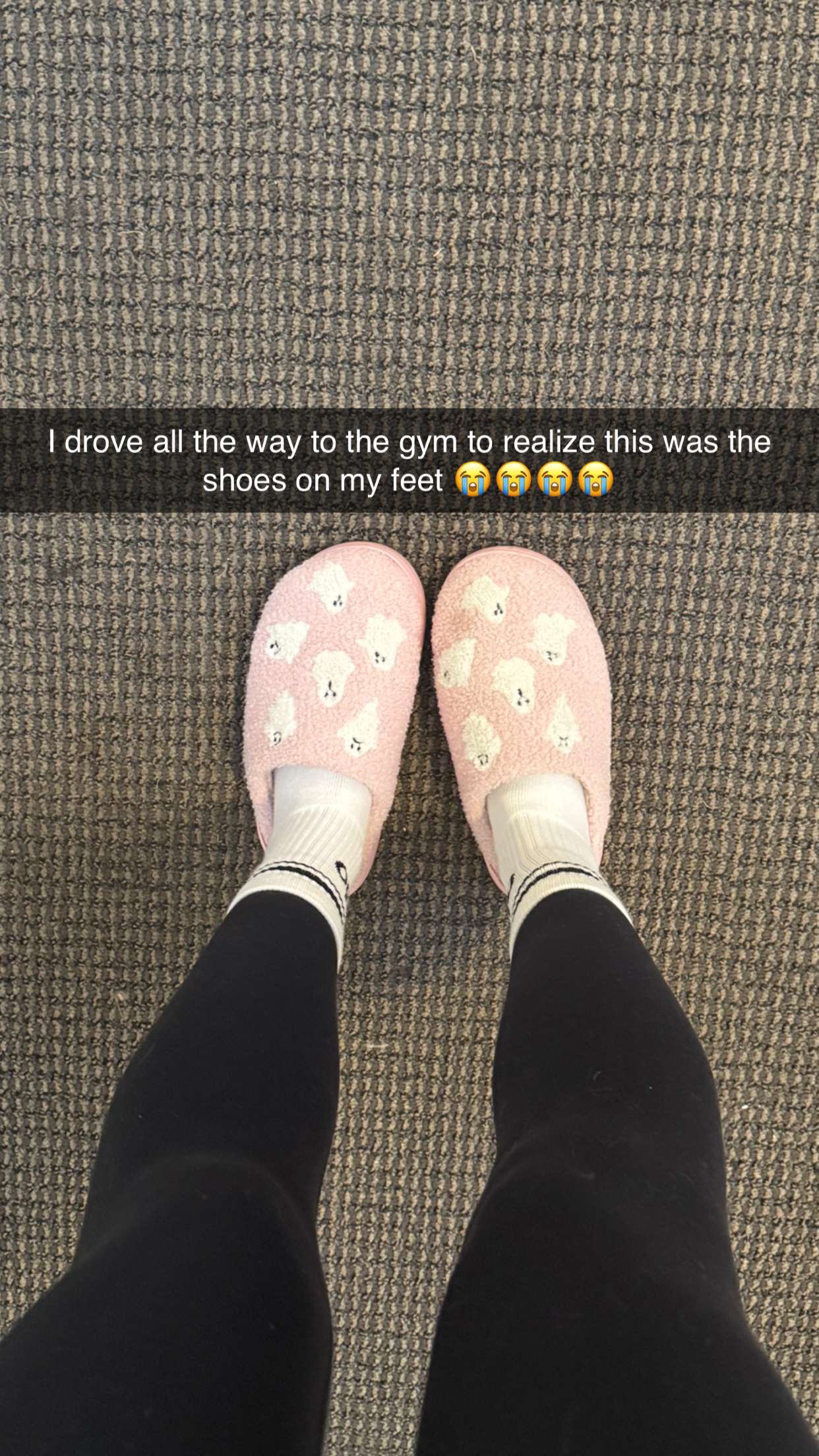 jadelynmusic snapchat image archive image