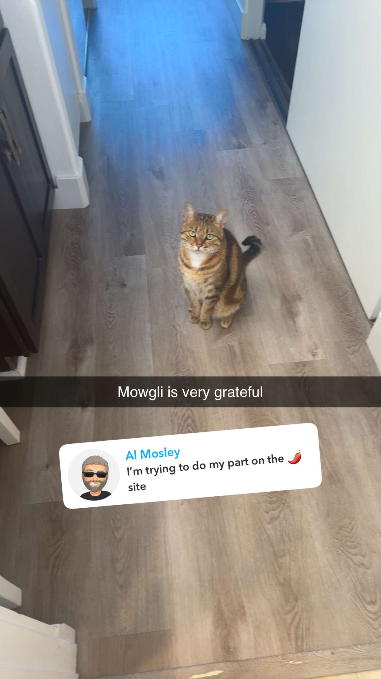 jadelynmusic snapchat image archive image