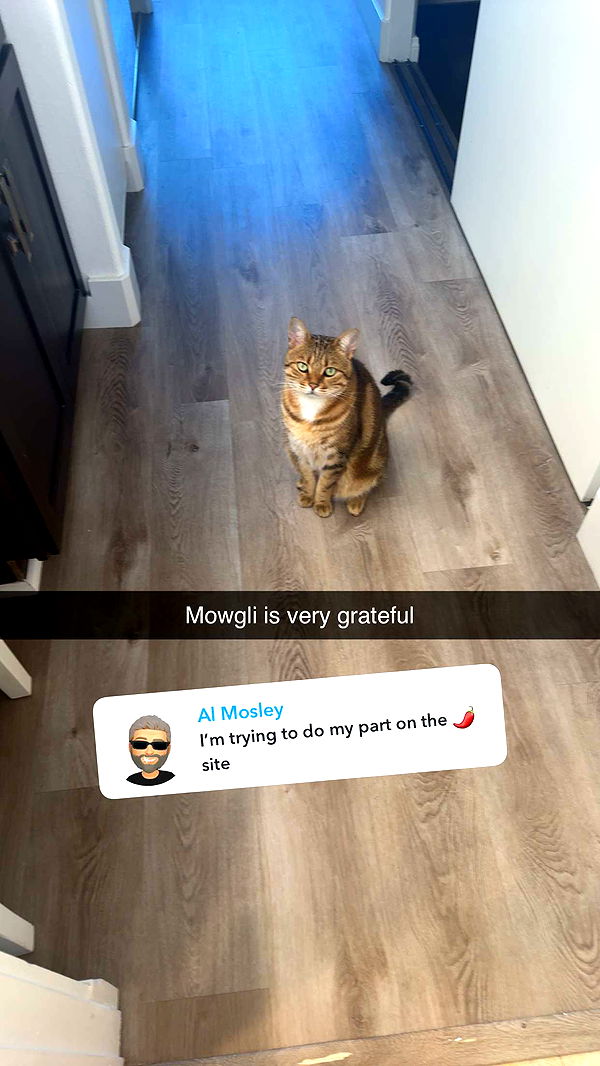 jadelynmusic image ~ Altpins