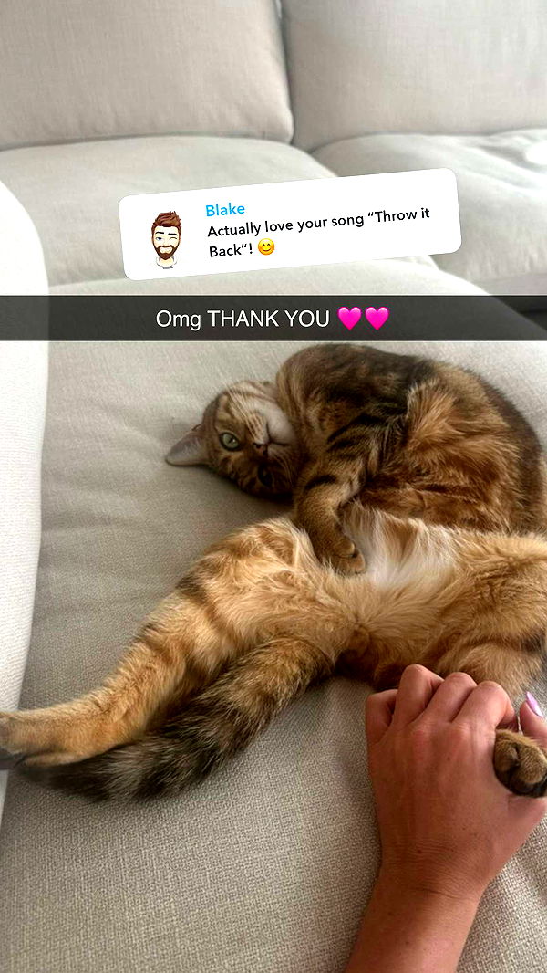 jadelynmusic image ~ Altpins