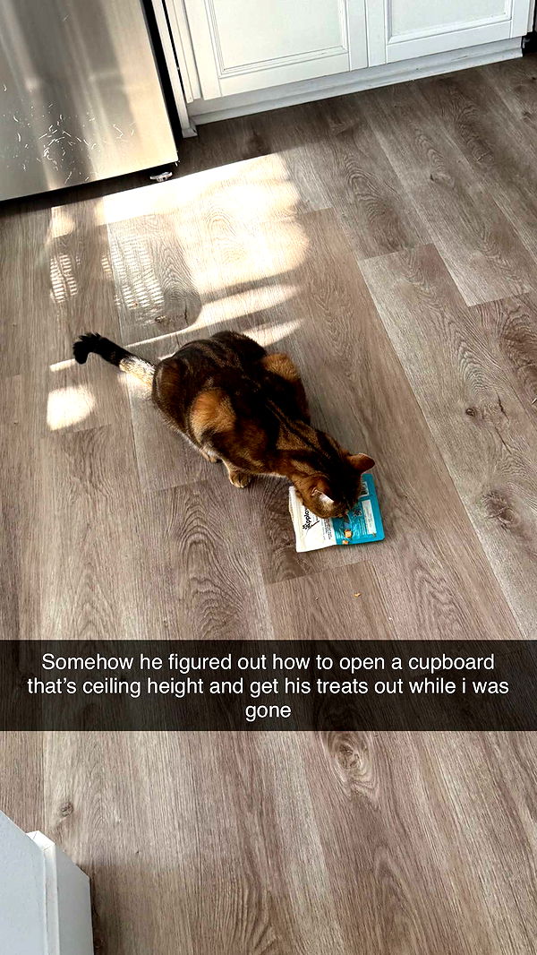 jadelynmusic image ~ Altpins