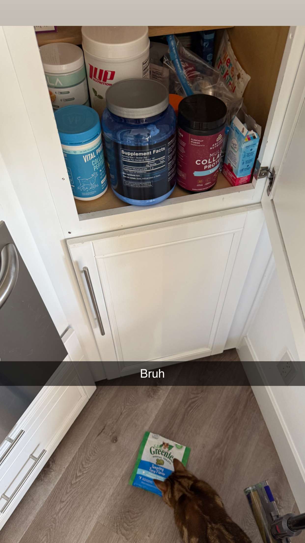 jadelynmusic snapchat image archive image