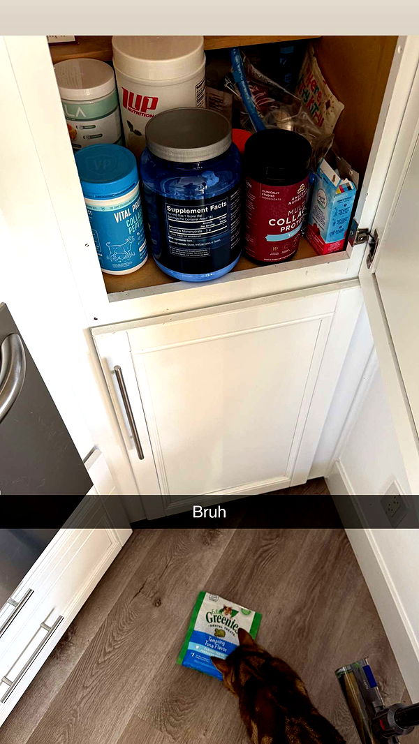 jadelynmusic image ~ Altpins