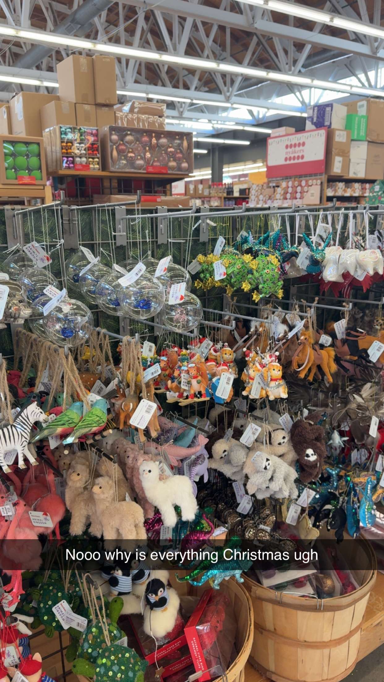 jadelynmusic snapchat image archive image