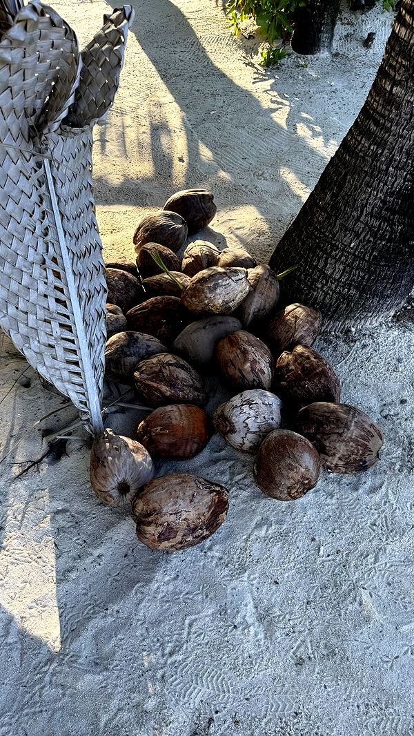 jadelynmusic image ~ Altpins