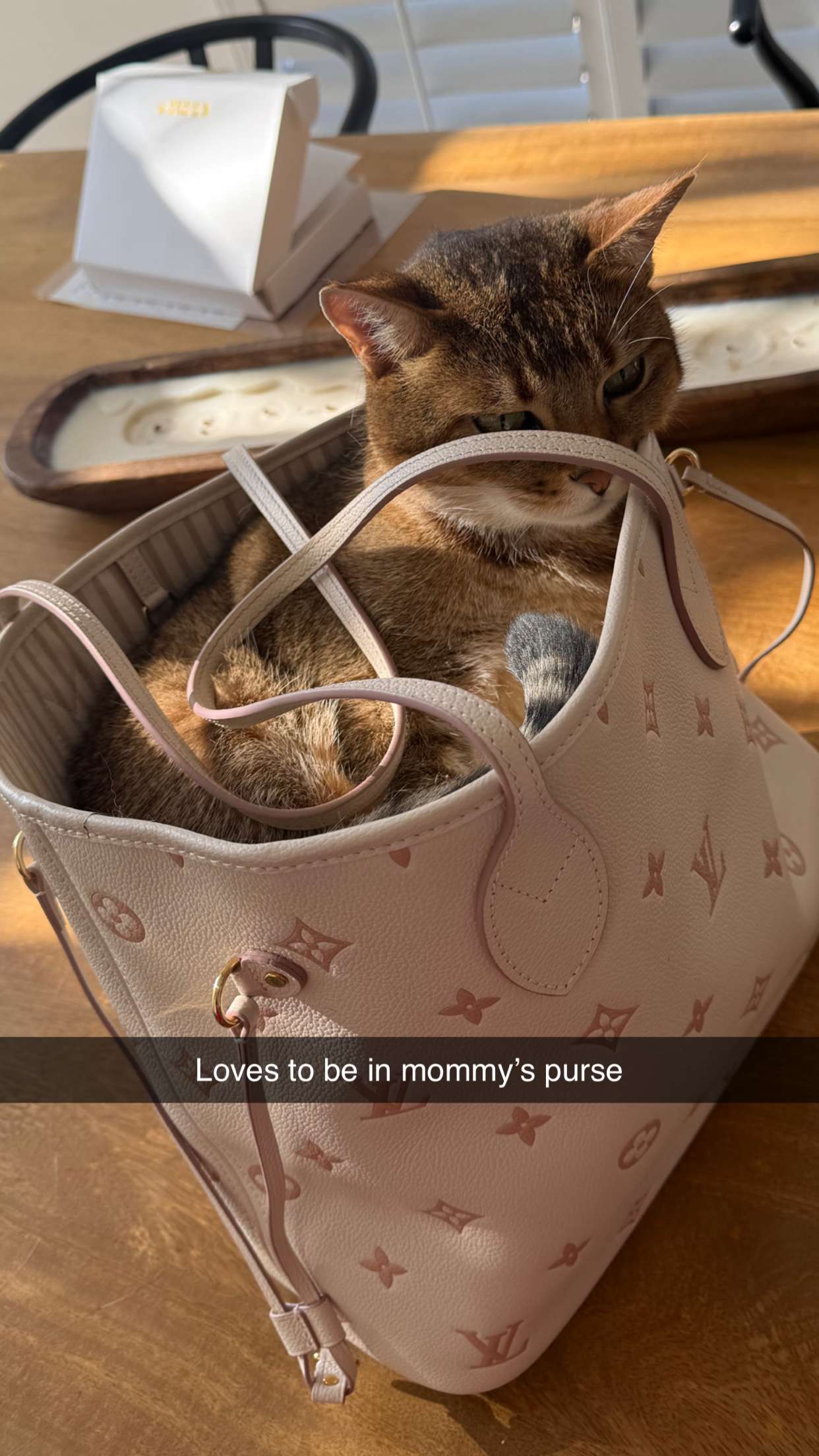 jadelynmusic snapchat image archive image