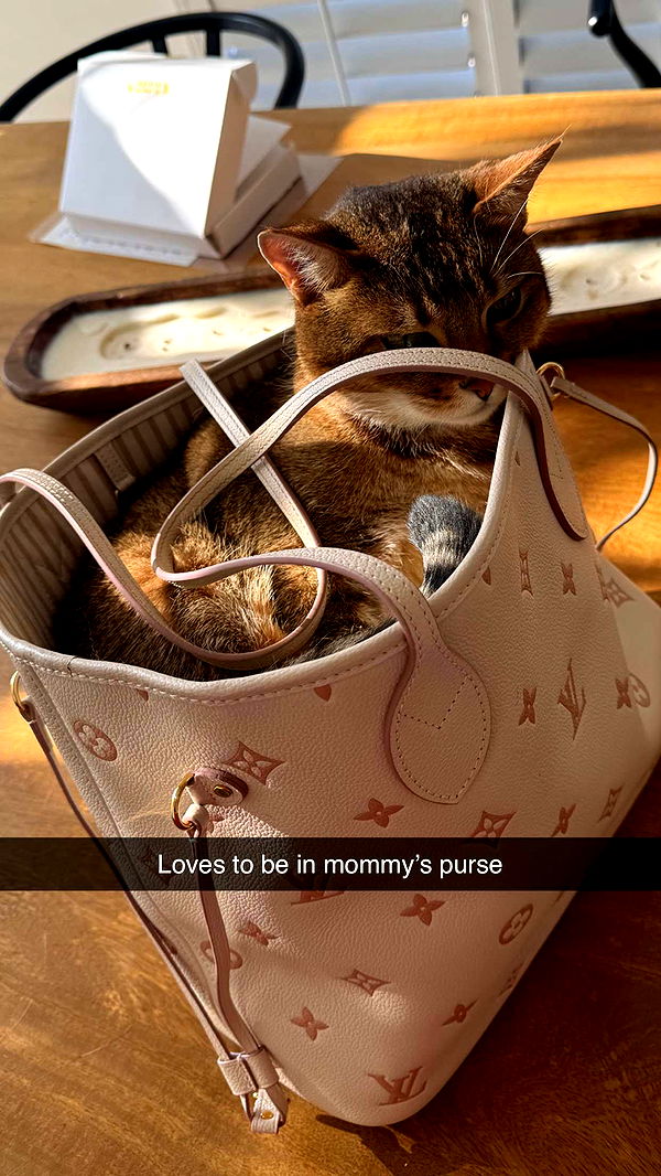 jadelynmusic image ~ Altpins