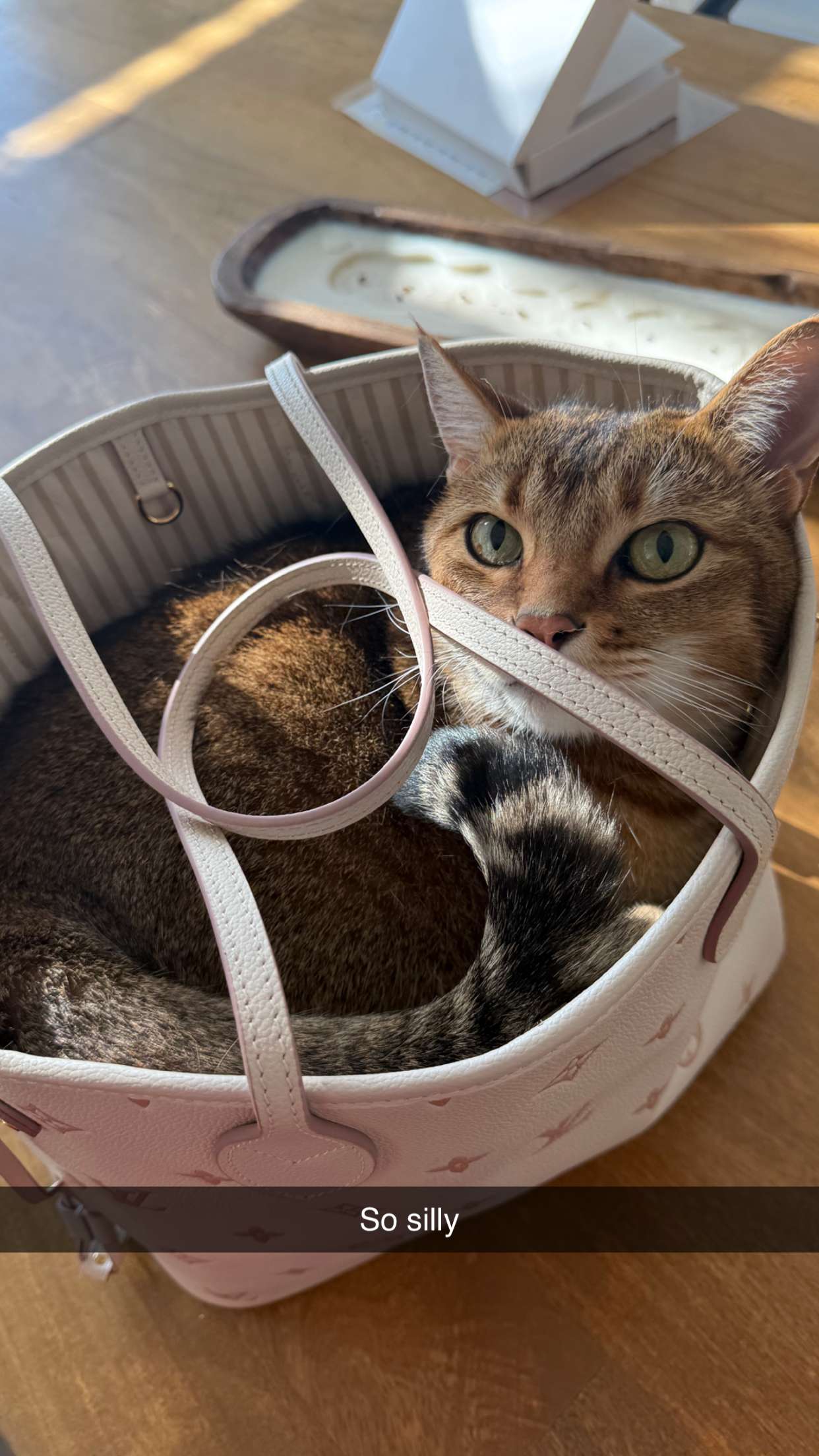 jadelynmusic snapchat image archive image