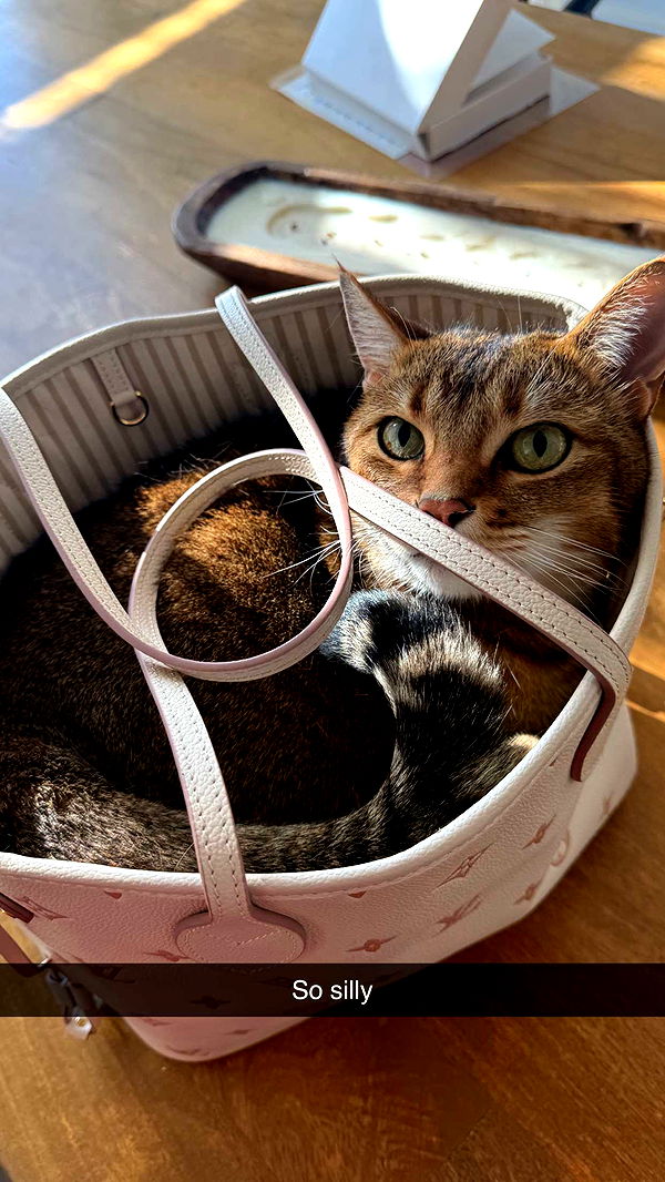 jadelynmusic image ~ Altpins