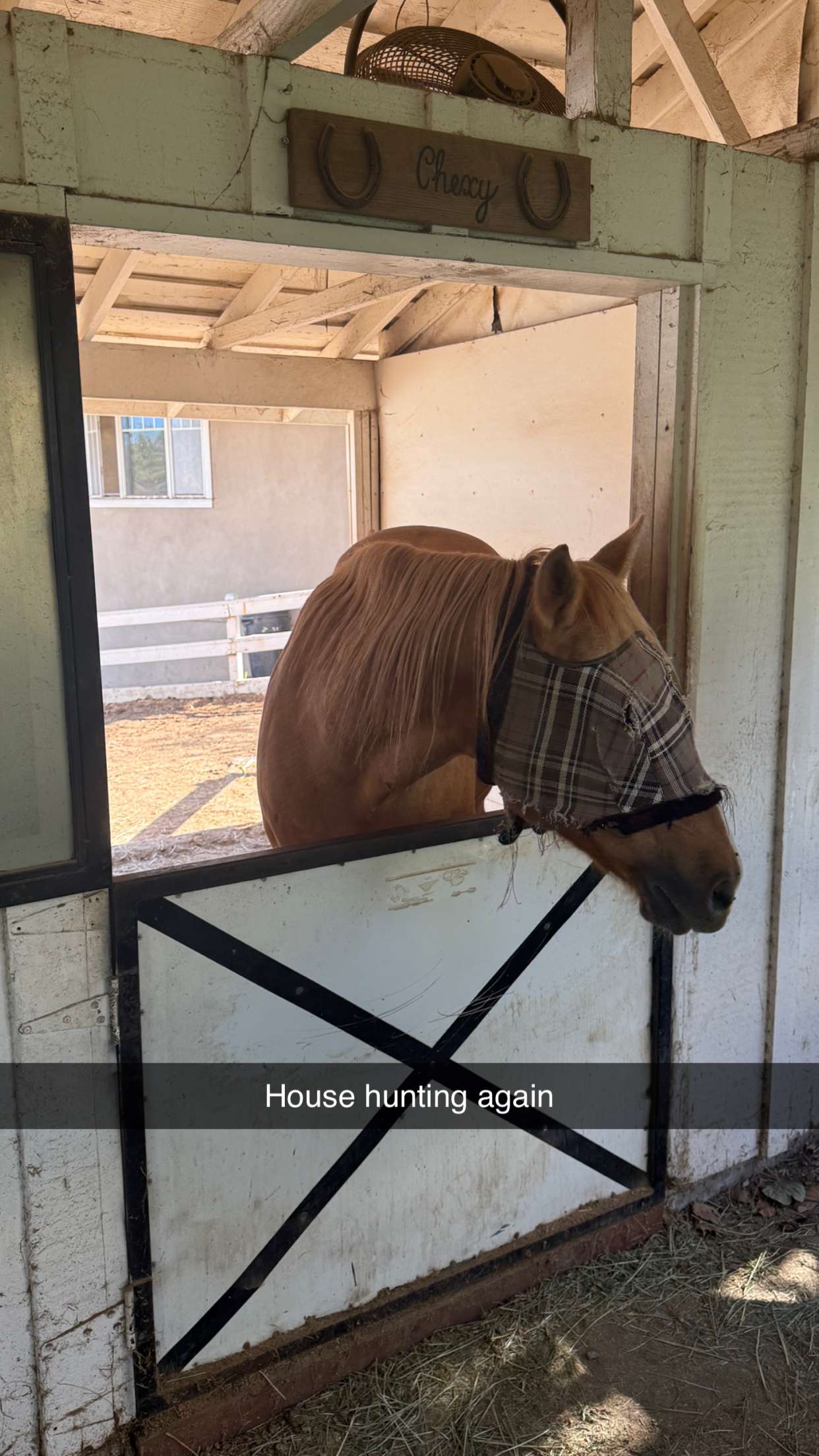 jadelynmusic snapchat image archive image