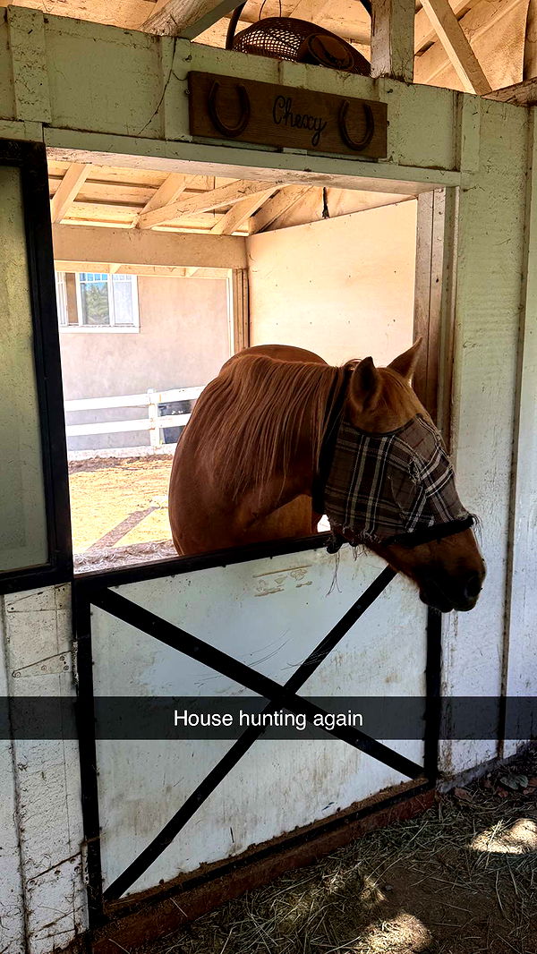 jadelynmusic image ~ Altpins