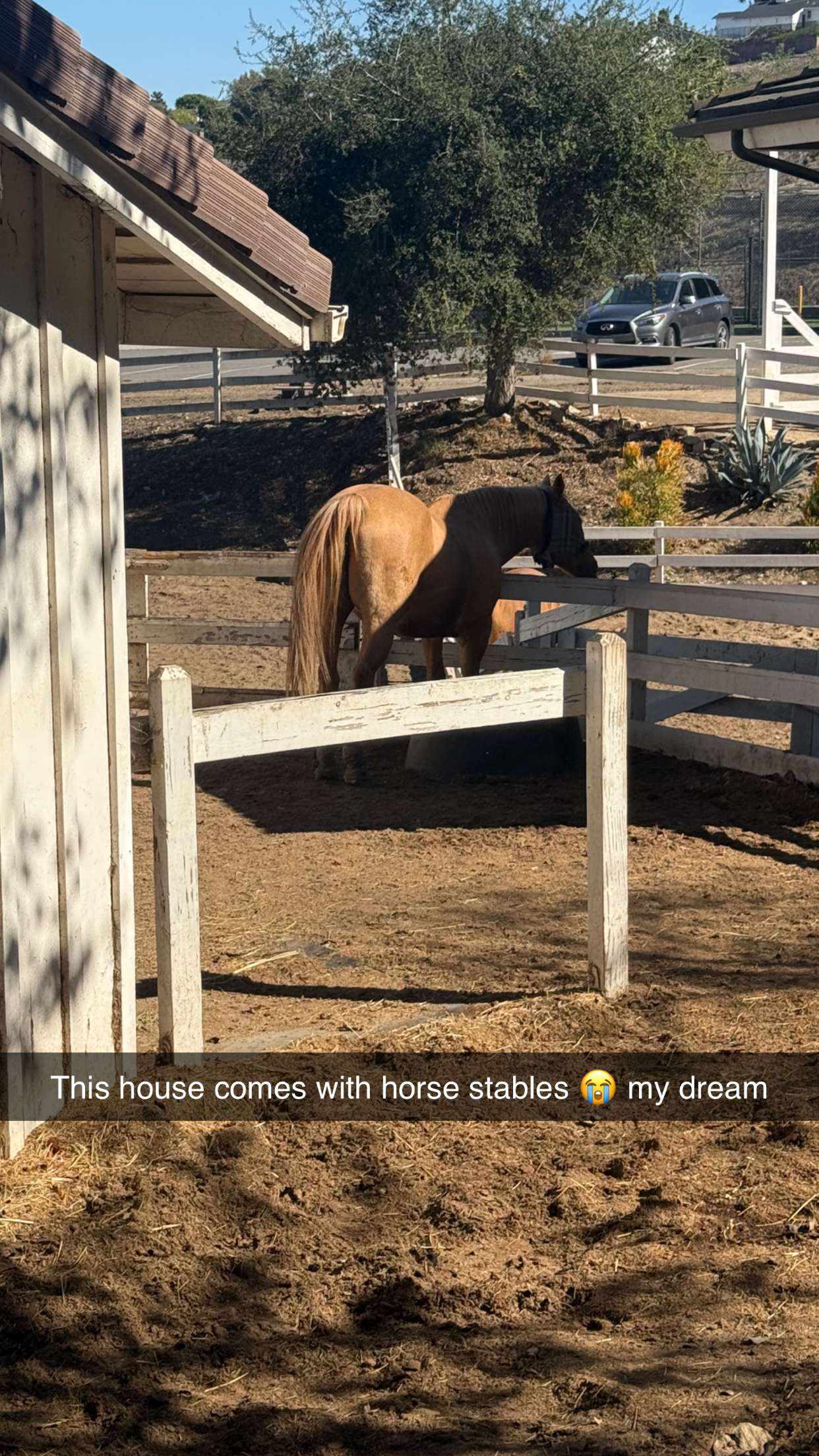 jadelynmusic snapchat image archive image