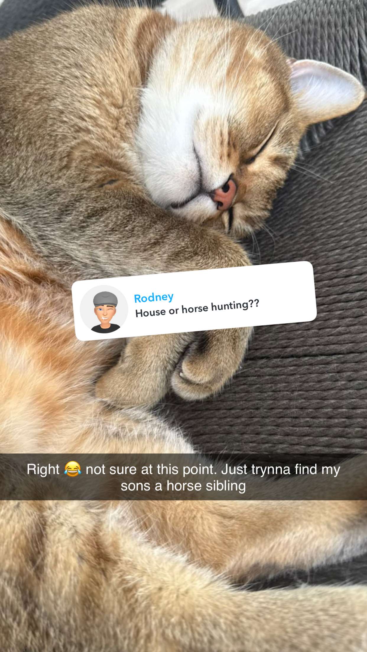 jadelynmusic snapchat image archive image