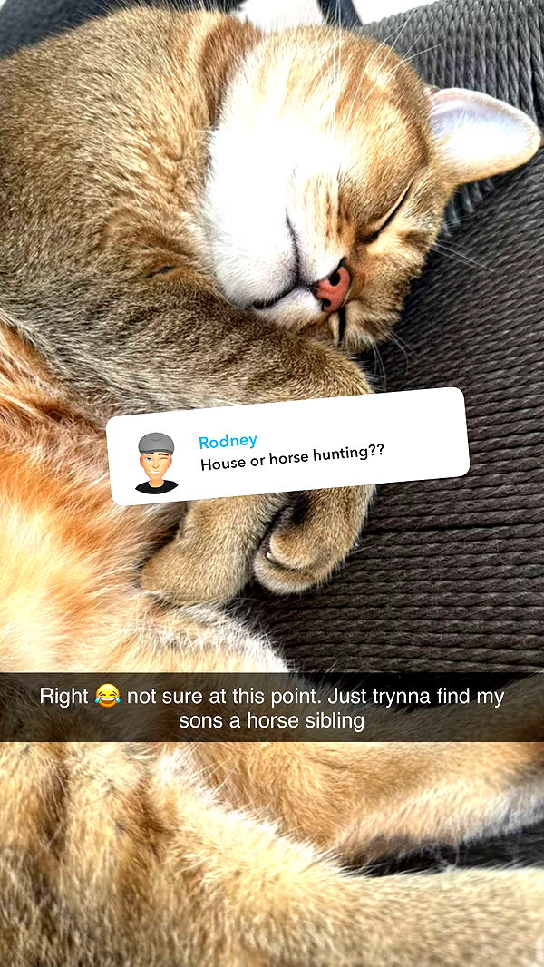 jadelynmusic image ~ Altpins