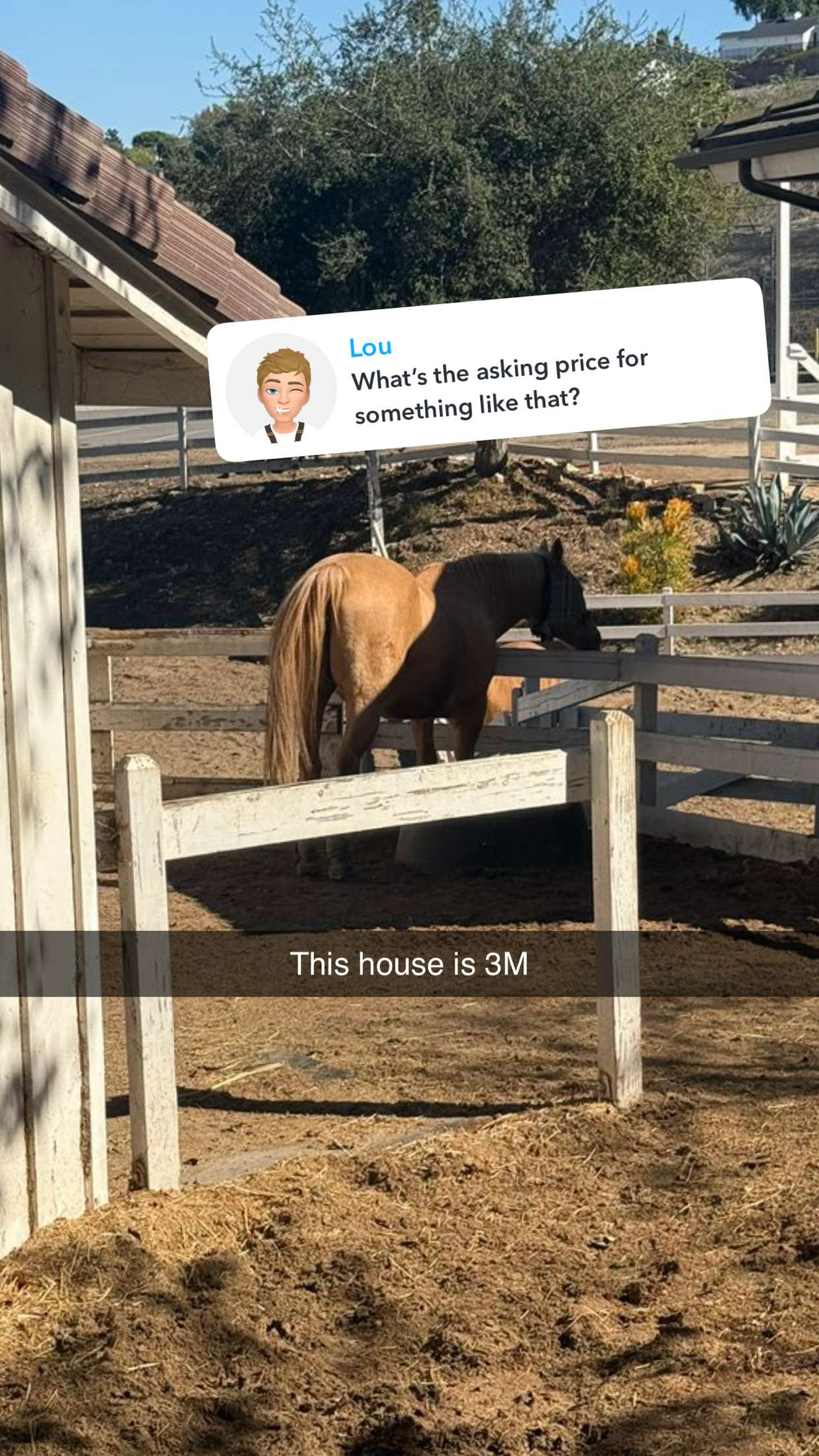 jadelynmusic snapchat image archive image