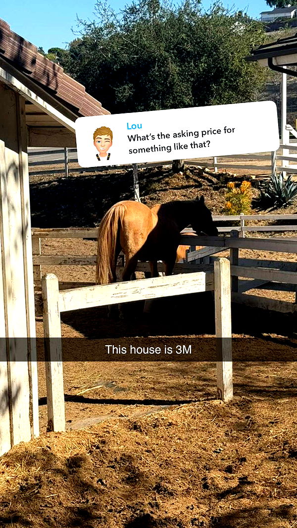 jadelynmusic image ~ Altpins