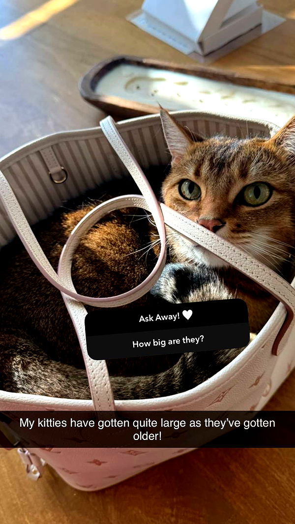 jadelynmusic image ~ Altpins