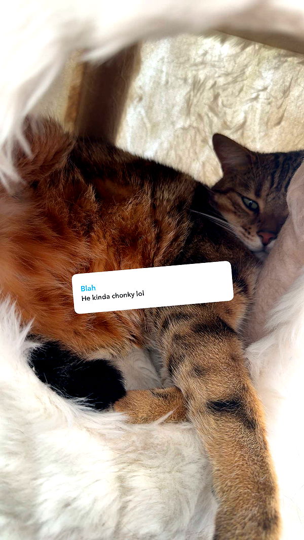 jadelynmusic image ~ Altpins