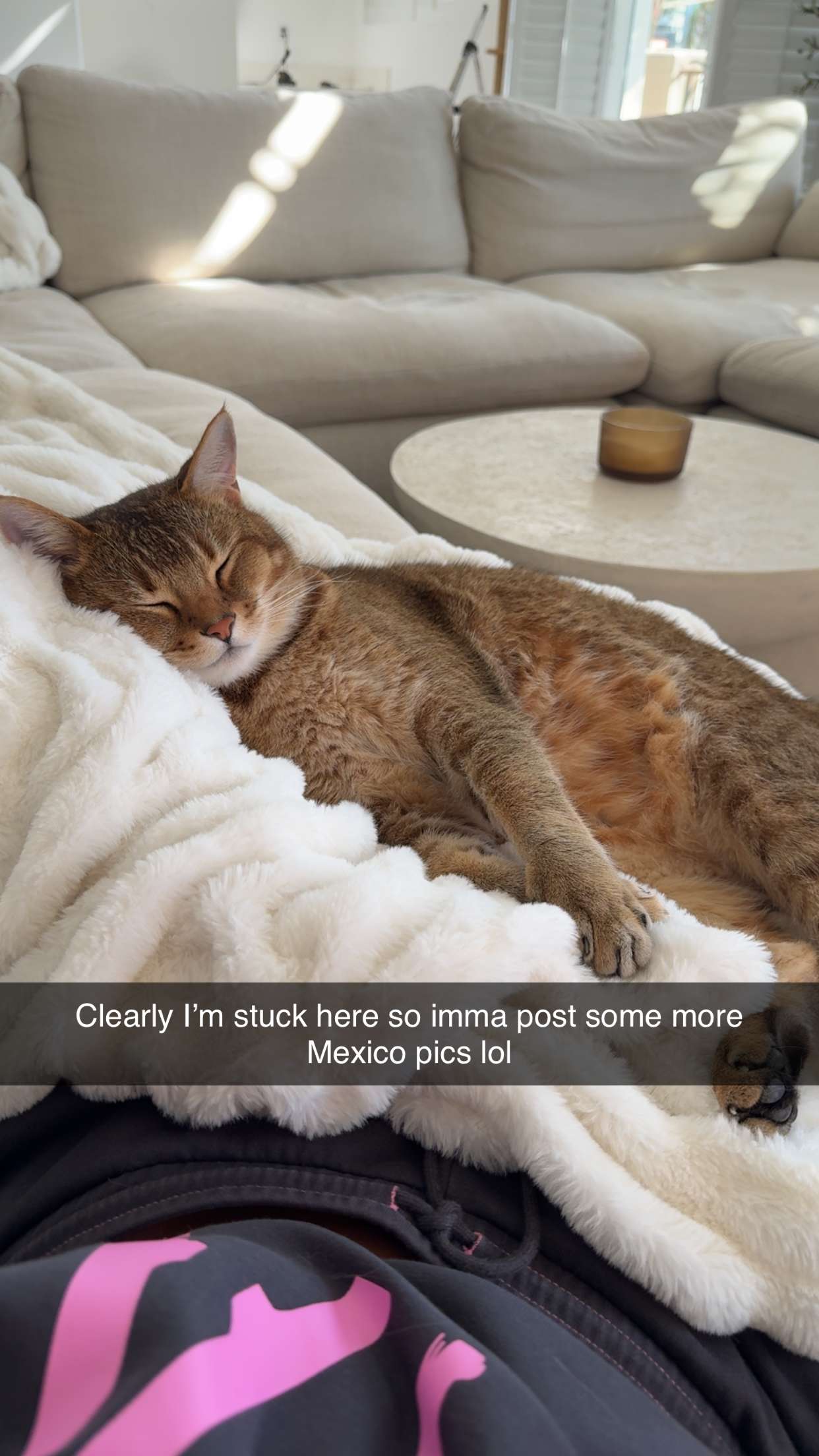 jadelynmusic snapchat image archive image