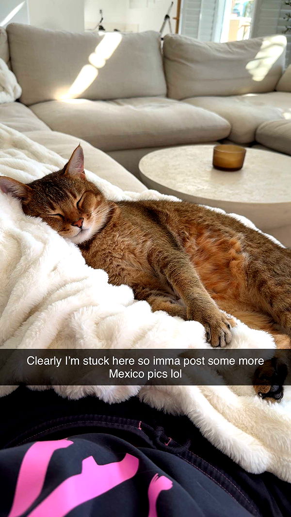 jadelynmusic image ~ Altpins