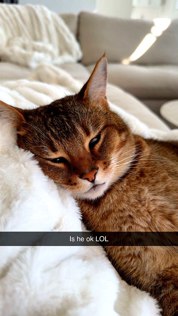 jadelynmusic image ~ Altpins