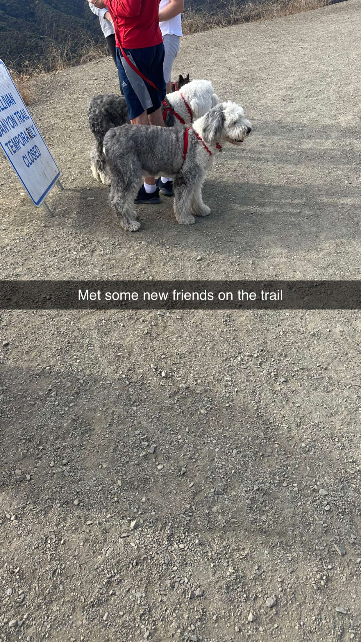 jadelynmusic snapchat image archive image