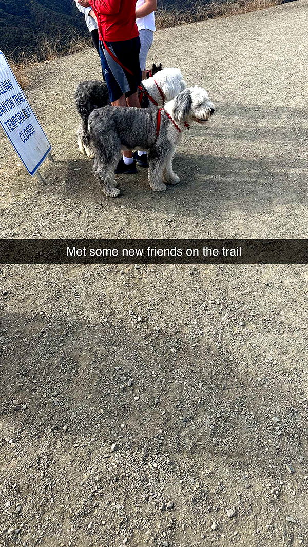 jadelynmusic image ~ Altpins