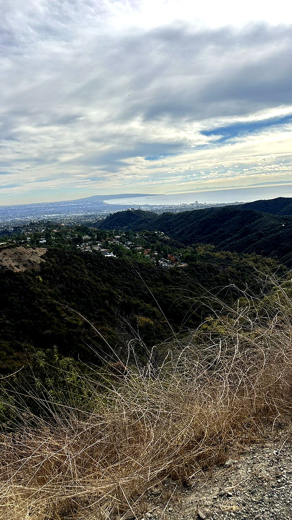 jadelynmusic image ~ Altpins