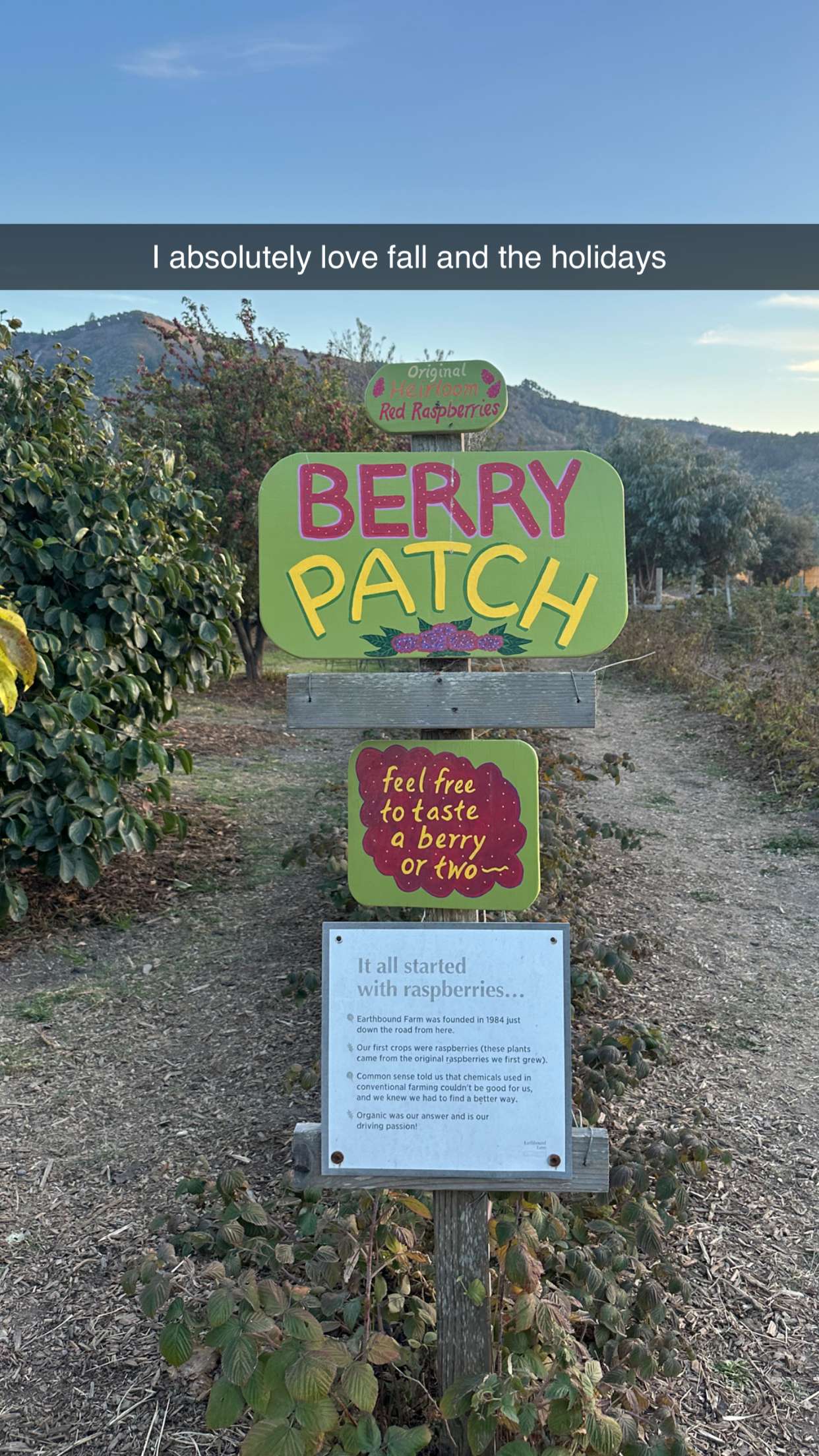 jadelynmusic snapchat image archive image