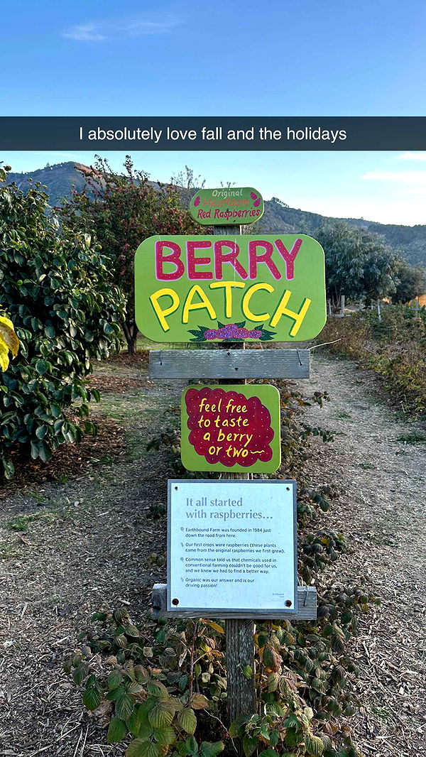 jadelynmusic image ~ Altpins