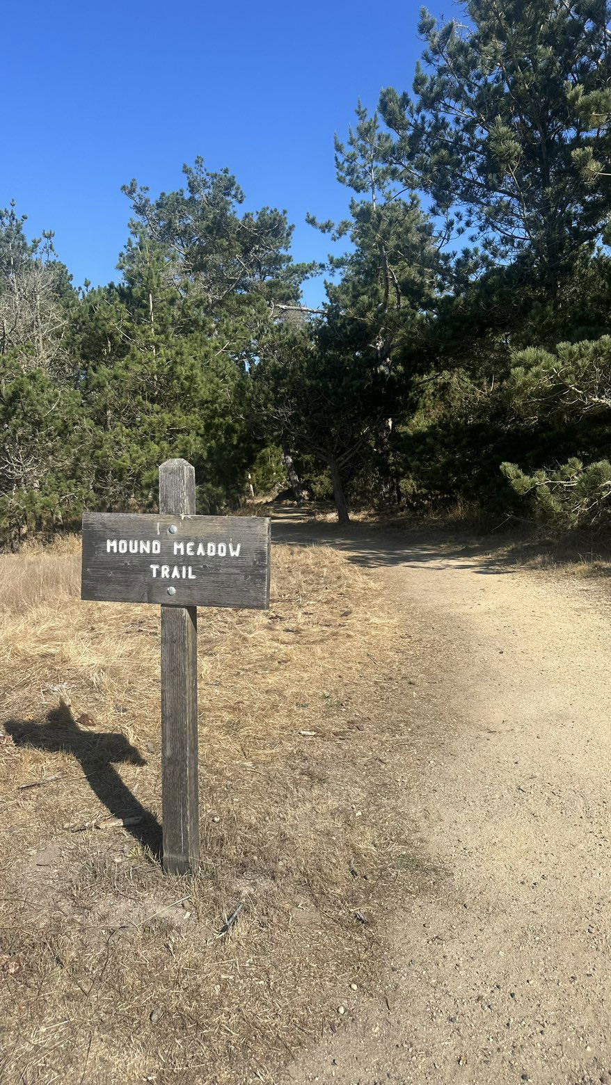 jadelynmusic snapchat image archive image