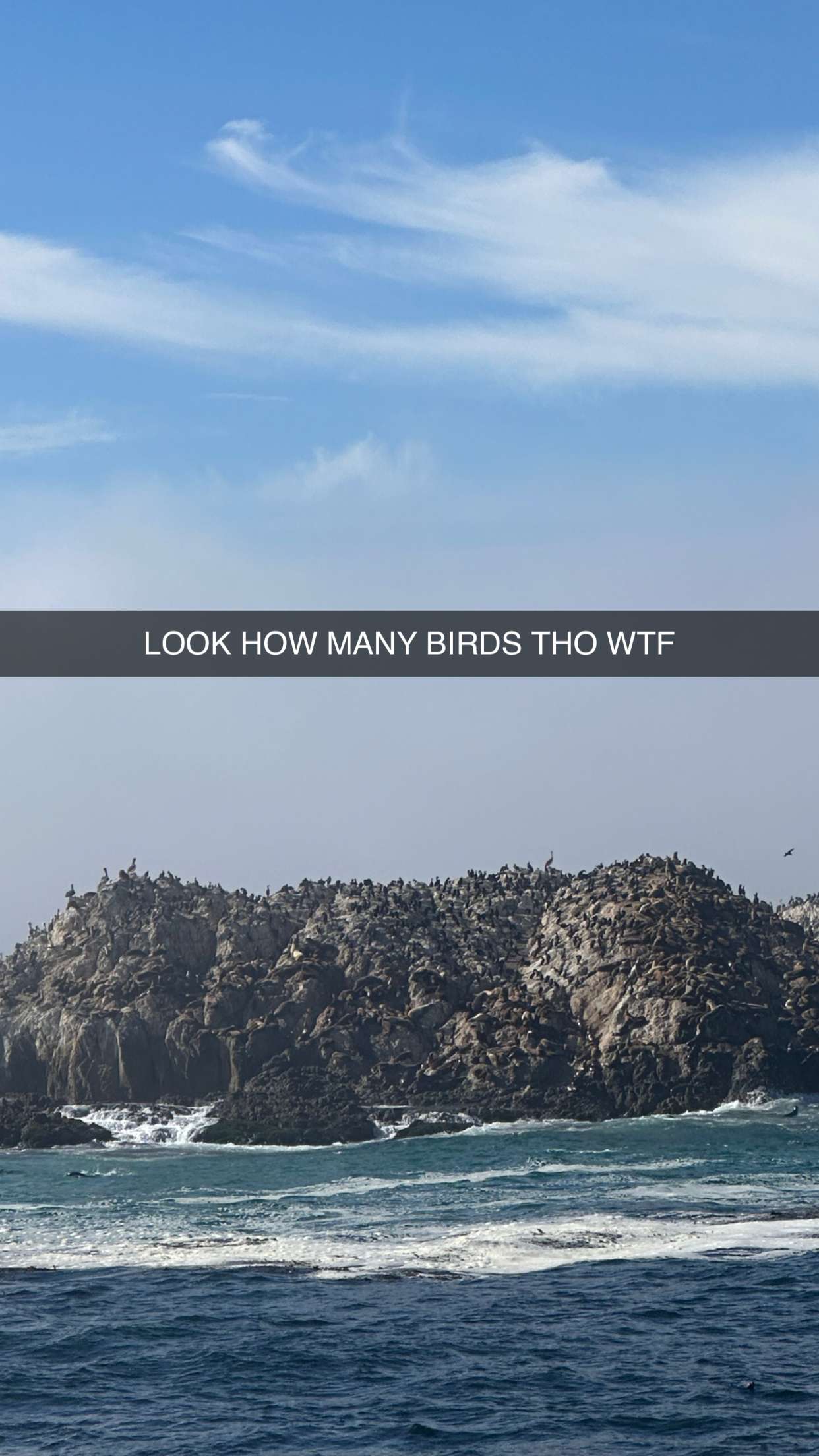 jadelynmusic snapchat image archive image