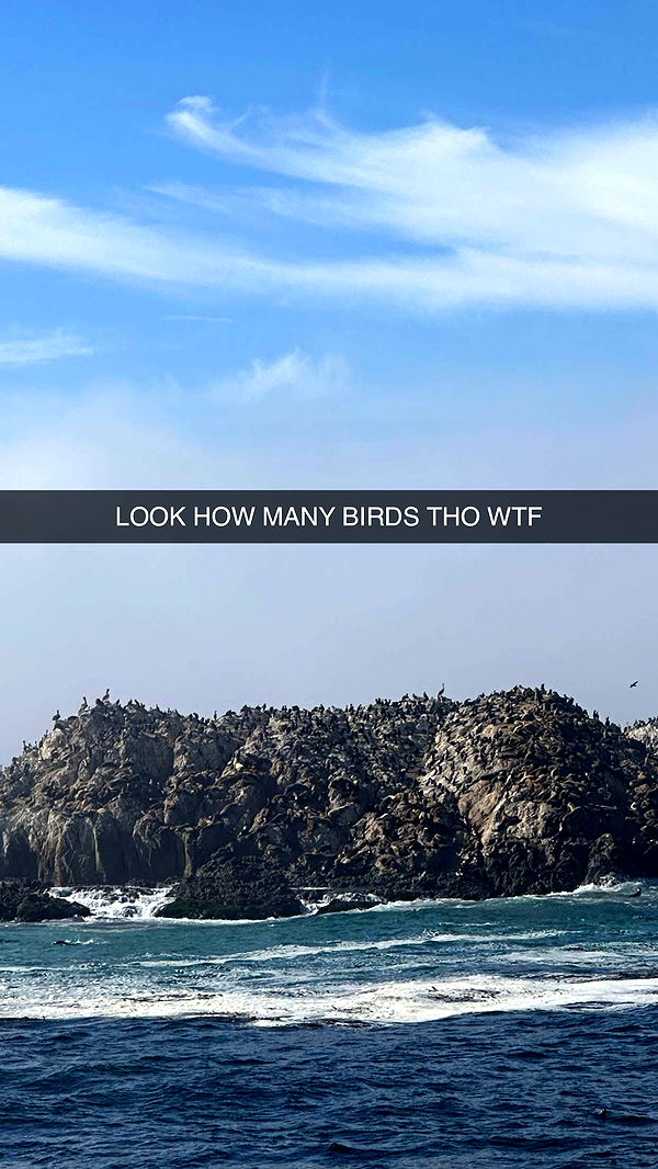 jadelynmusic image ~ Altpins