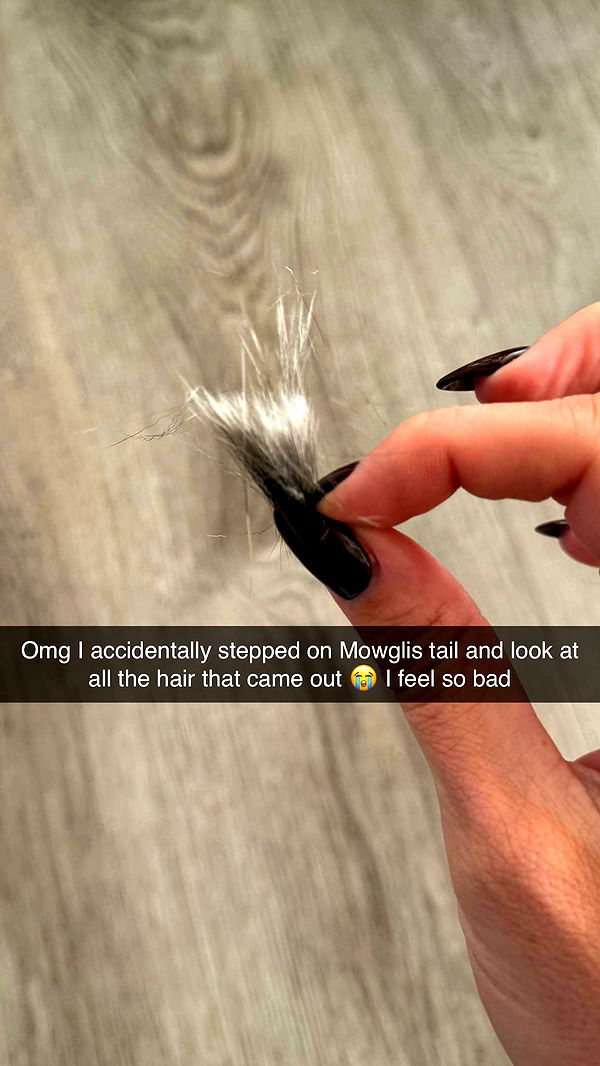 jadelynmusic image ~ Altpins