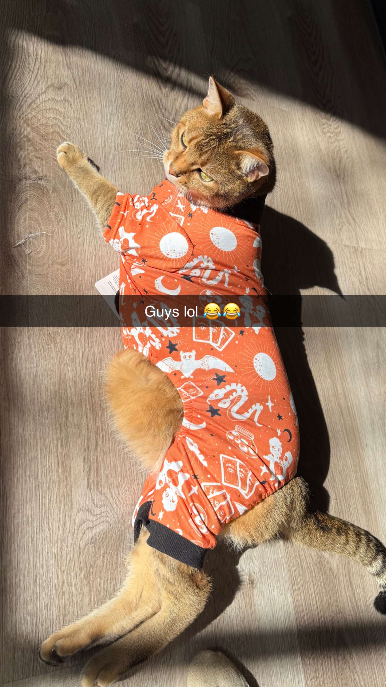 jadelynmusic snapchat image archive image