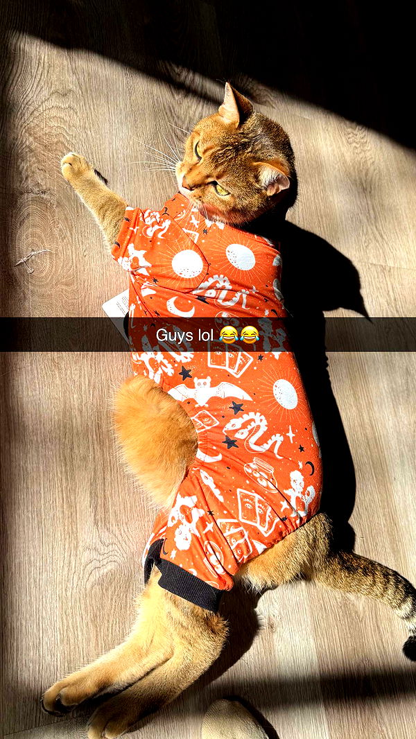 jadelynmusic image ~ Altpins