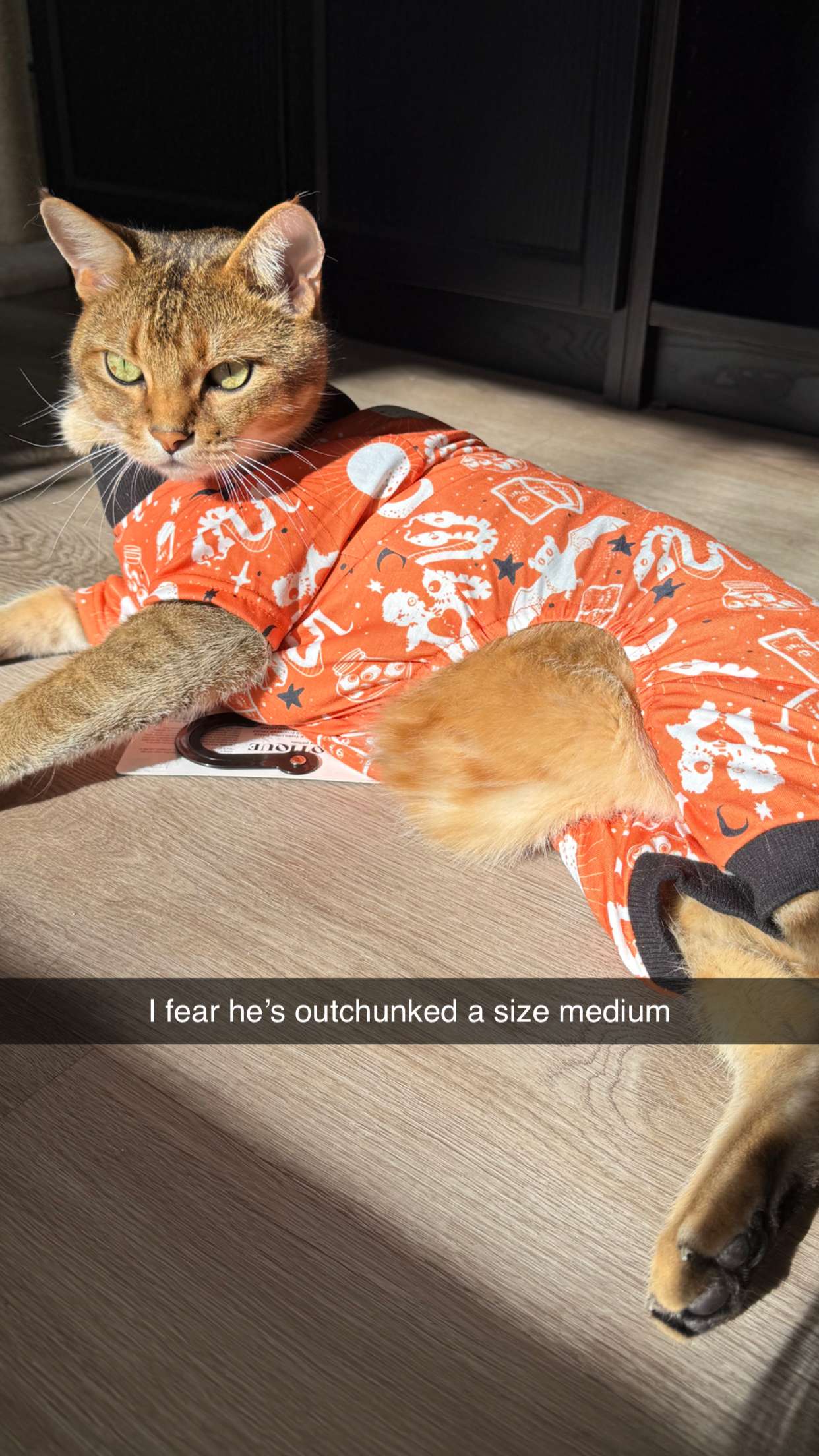 jadelynmusic snapchat image archive image