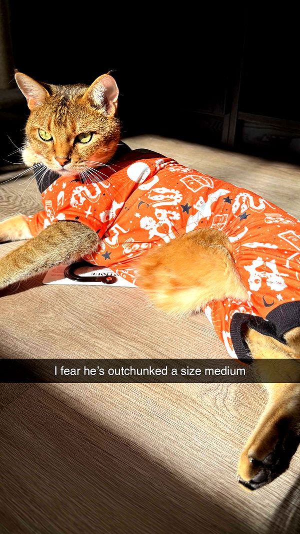 jadelynmusic image ~ Altpins