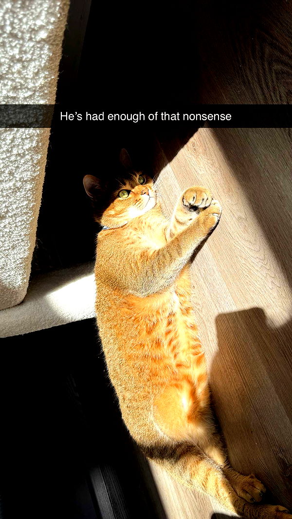 jadelynmusic image ~ Altpins