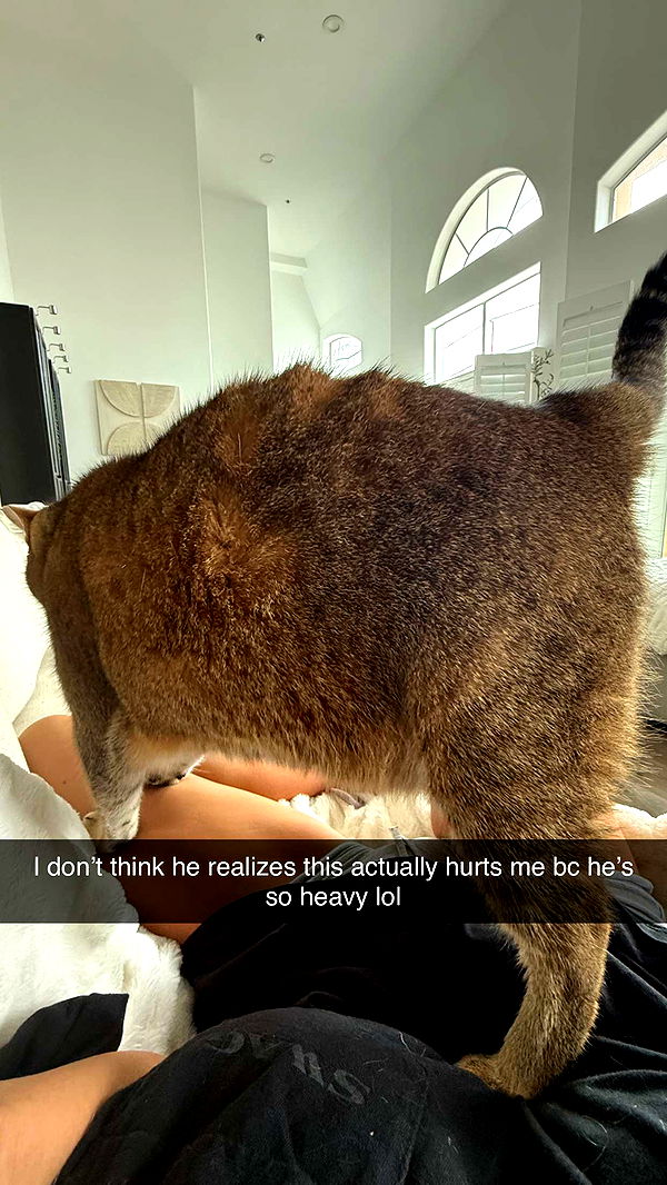 jadelynmusic image ~ Altpins