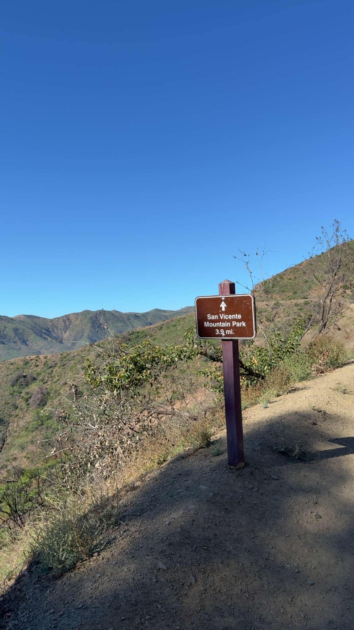 jadelynmusic snapchat image archive image